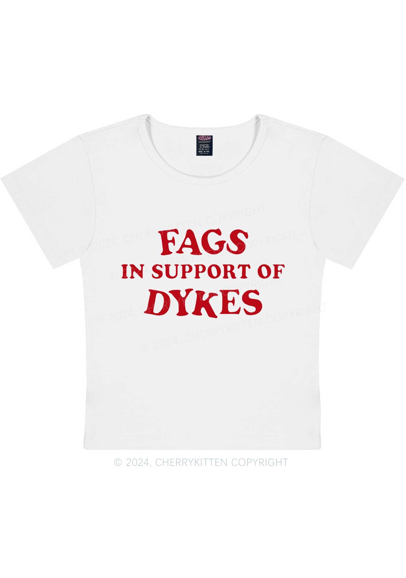 Fags Dykes Y2K Baby Tee Cherrykitten