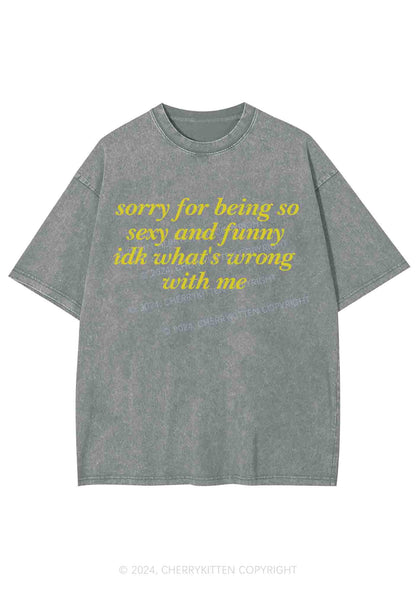 Sorry For Being So Funny Y2K Washed Tee Cherrykitten