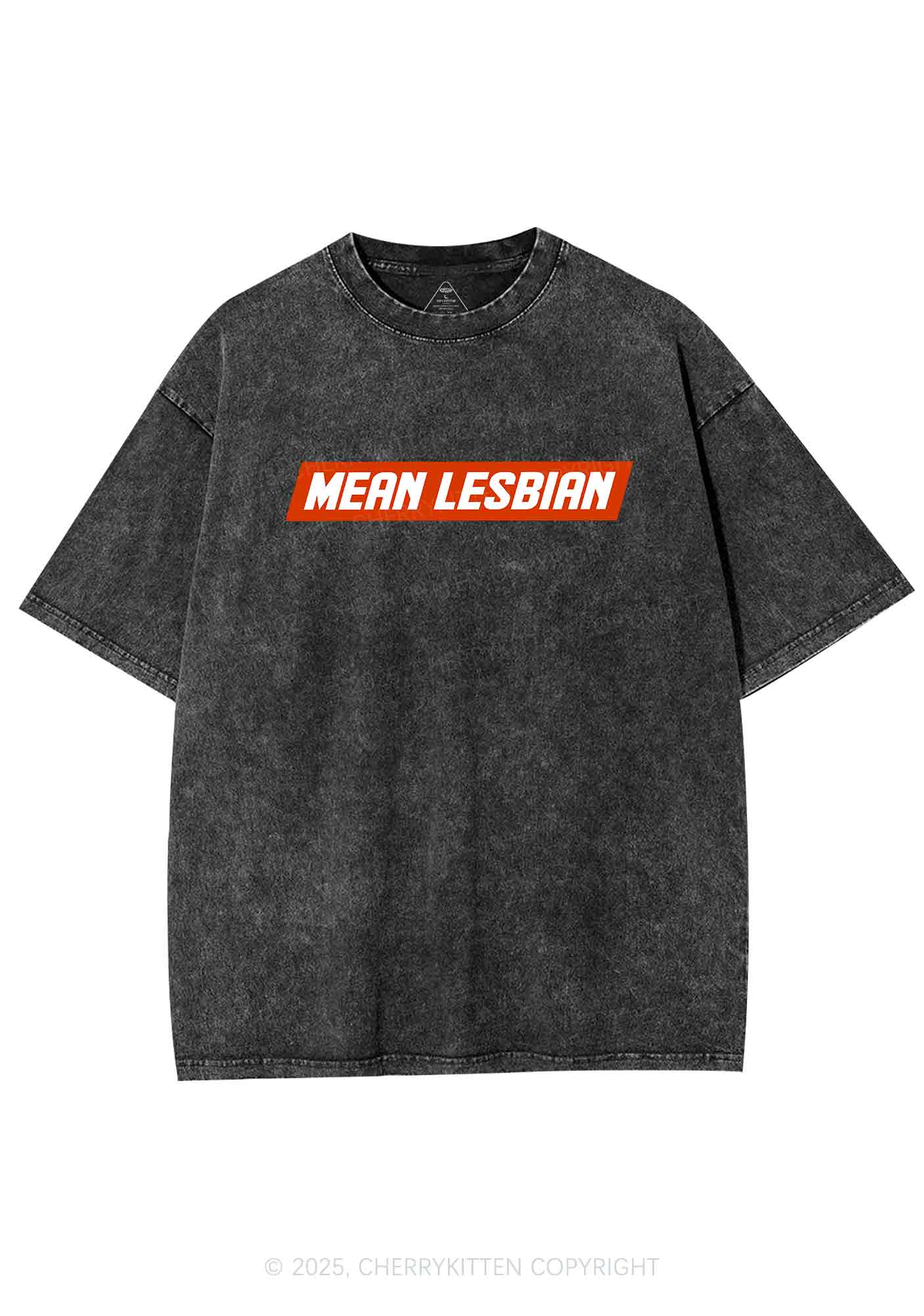 Mean Lesbian Y2K Washed Tee Cherrykitten