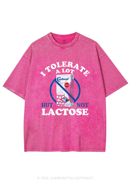 Dont Tolerate Lactose Y2K Washed Tee Cherrykitten