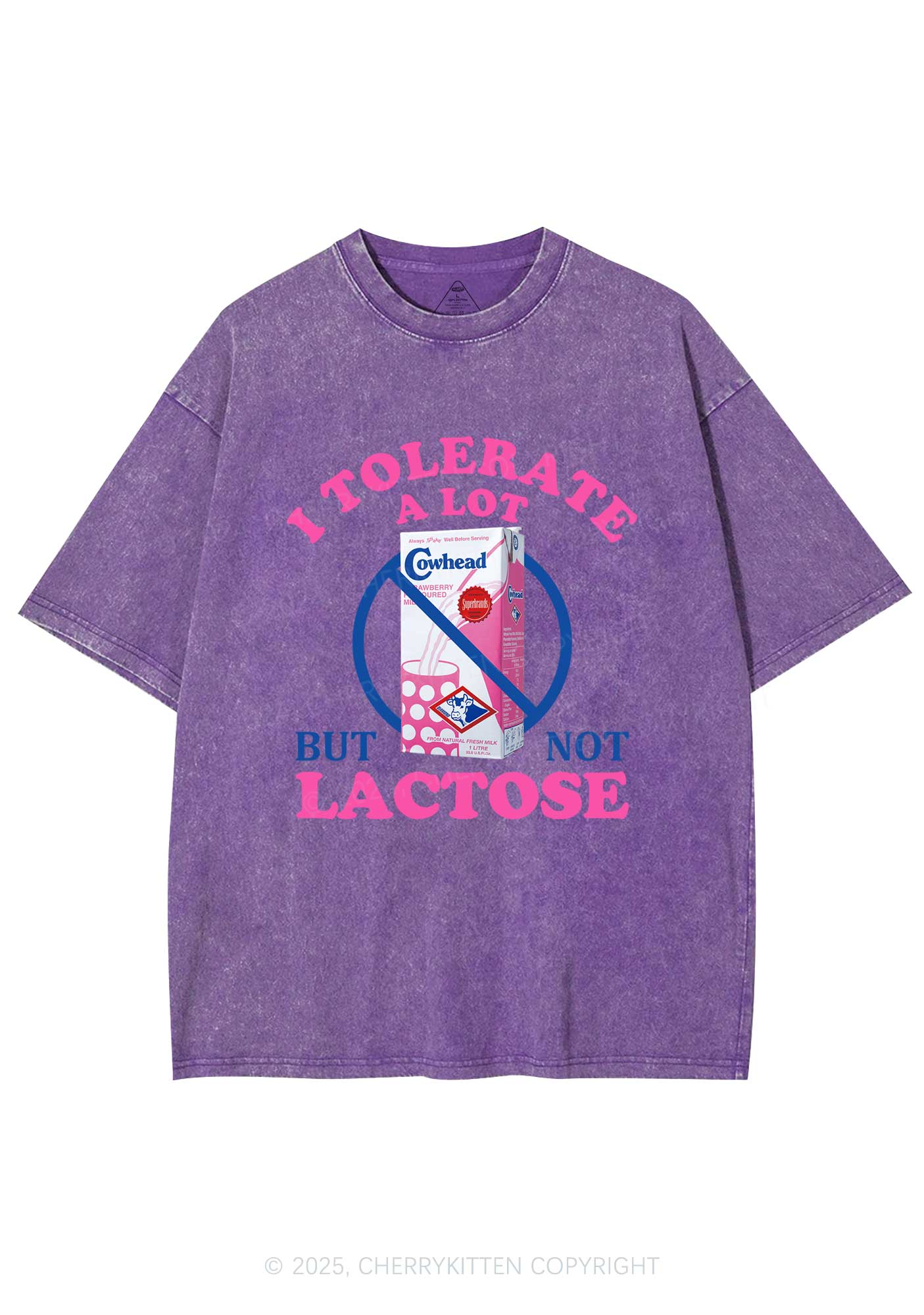 Dont Tolerate Lactose Y2K Washed Tee Cherrykitten