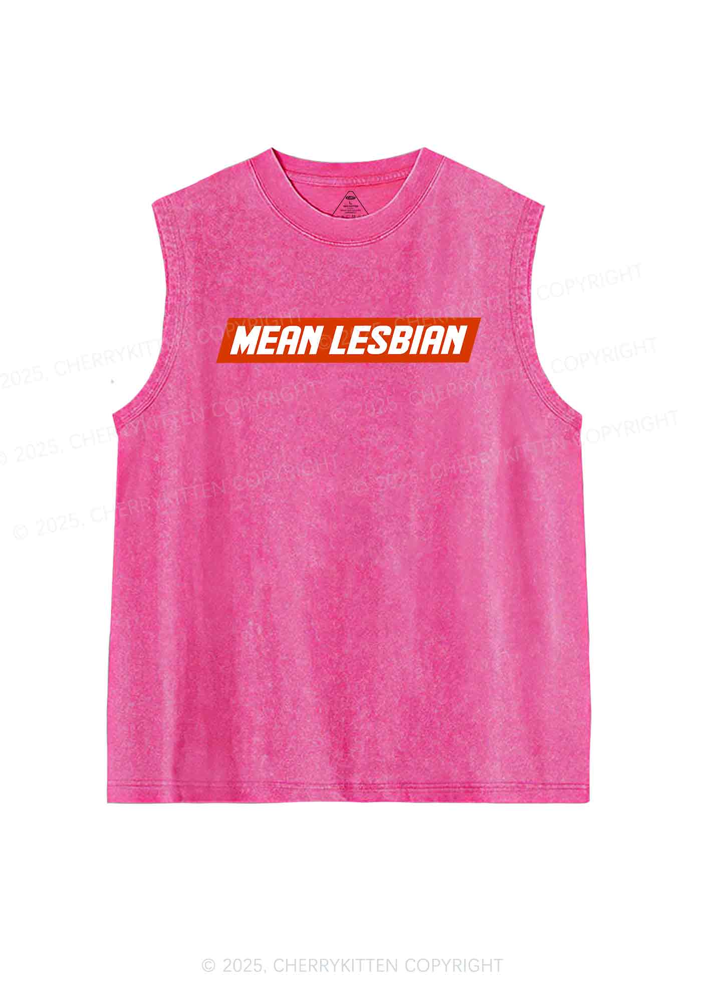 Mean Lesbian Y2K Washed Tank Cherrykitten