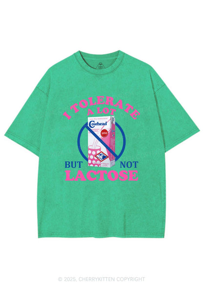 Dont Tolerate Lactose Y2K Washed Tee Cherrykitten