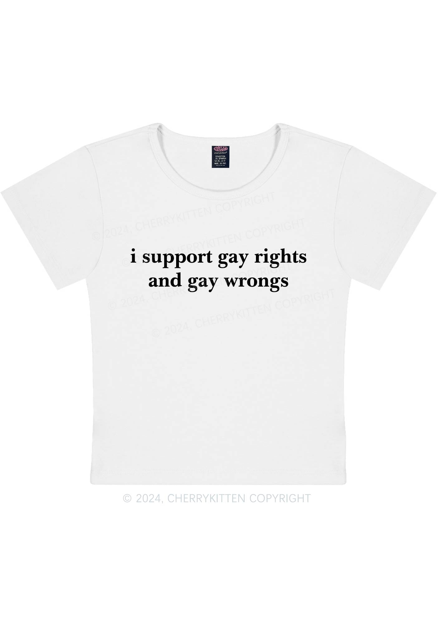 Support Gay Rights Y2K Baby Tee Cherrykitten