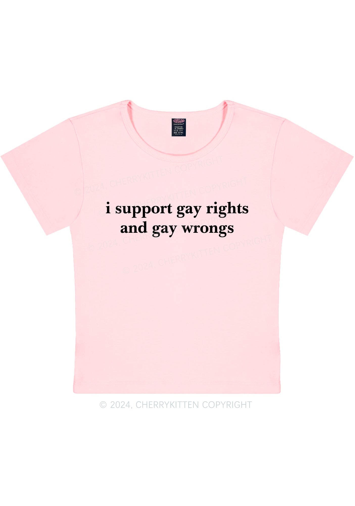 Support Gay Rights Y2K Baby Tee Cherrykitten