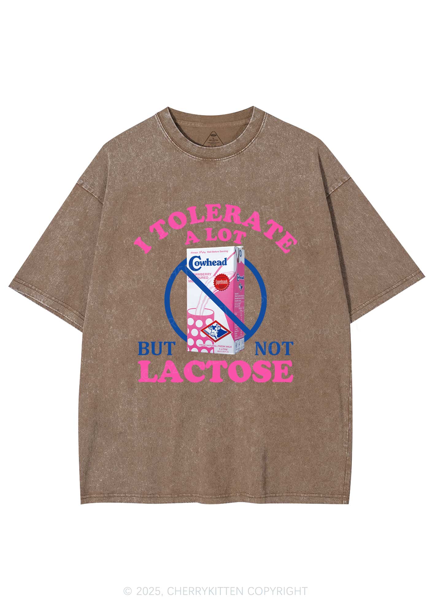 Dont Tolerate Lactose Y2K Washed Tee Cherrykitten