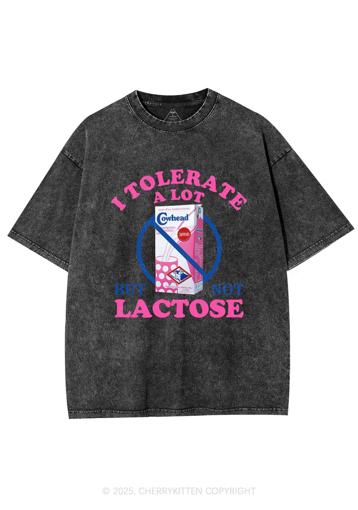 Dont Tolerate Lactose Y2K Washed Tee Cherrykitten