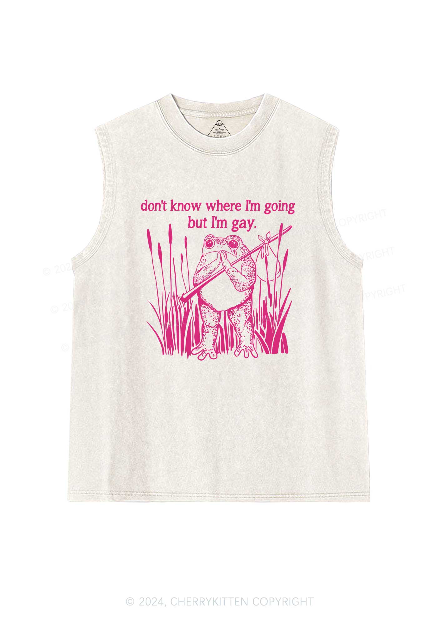 But I Am Gay Y2K Washed Tank Cherrykitten