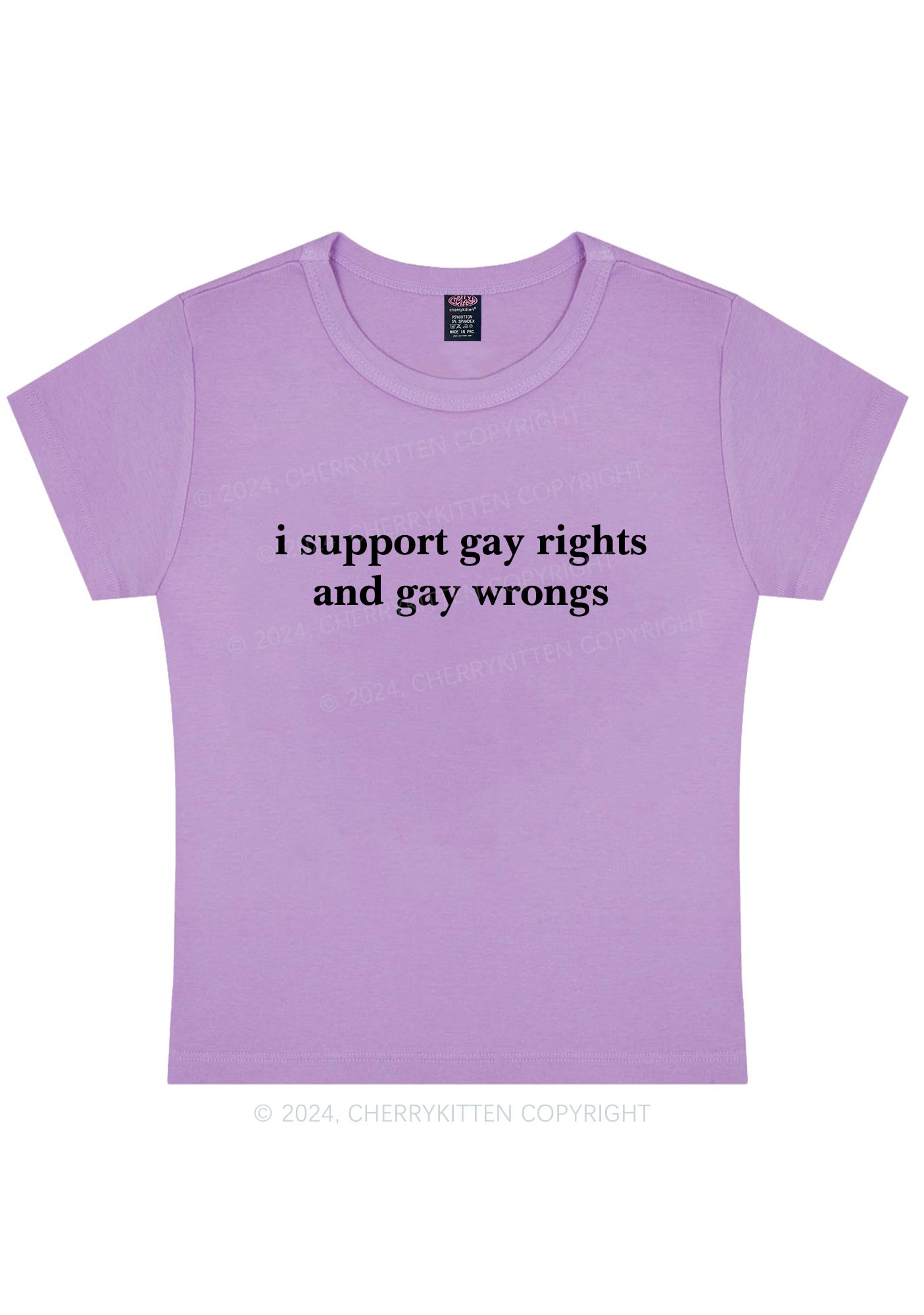 Support Gay Rights Y2K Baby Tee Cherrykitten