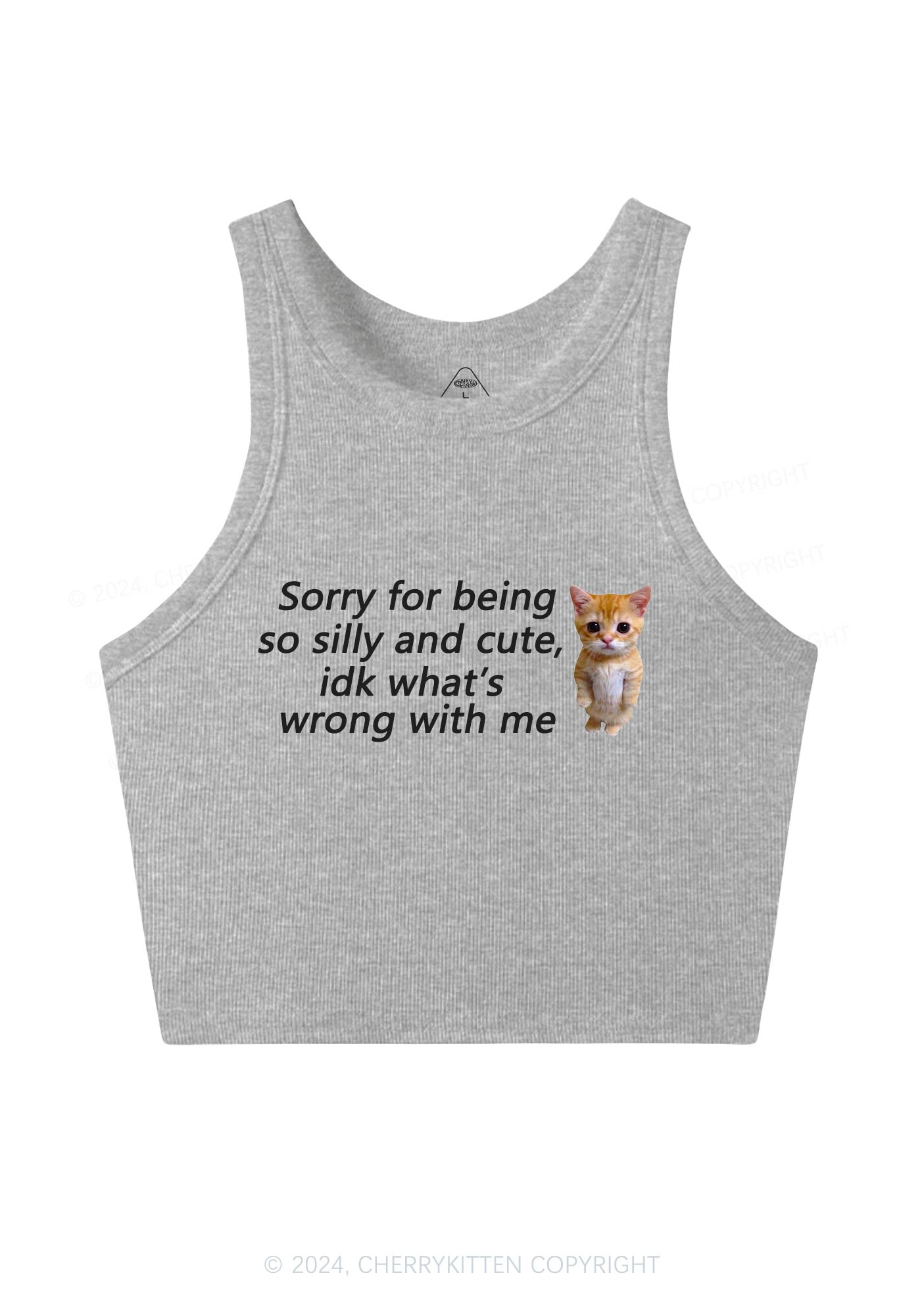 Sorry For Being Silly Y2K Crop Tank Top Cherrykitten