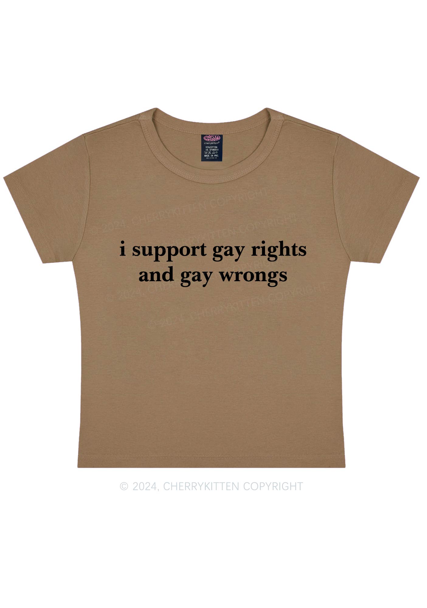 Support Gay Rights Y2K Baby Tee Cherrykitten