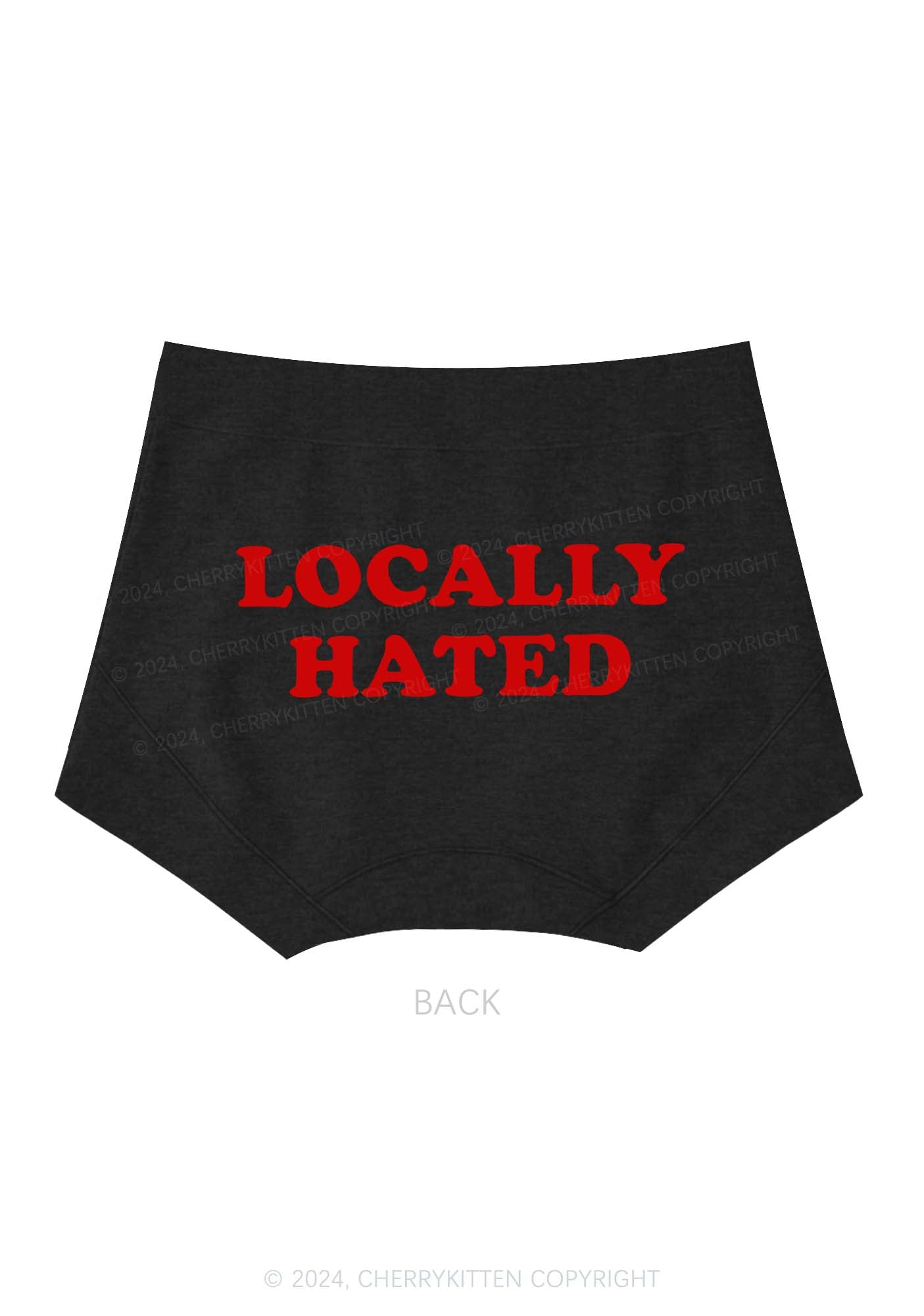 Locally Hated Y2K Mid Rise Waist Boyshort Cherrykitten