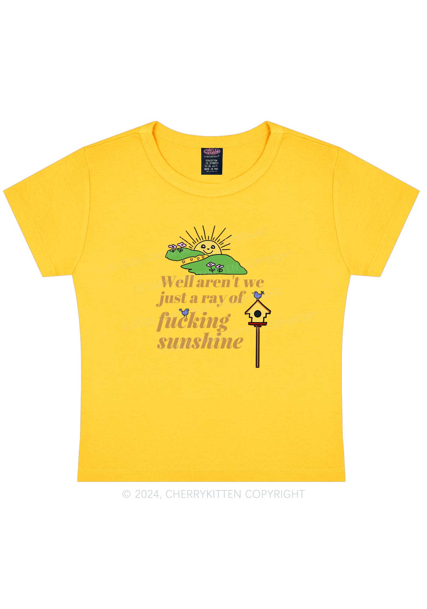 Sunshine Ray Y2K Baby Tee Cherrykitten