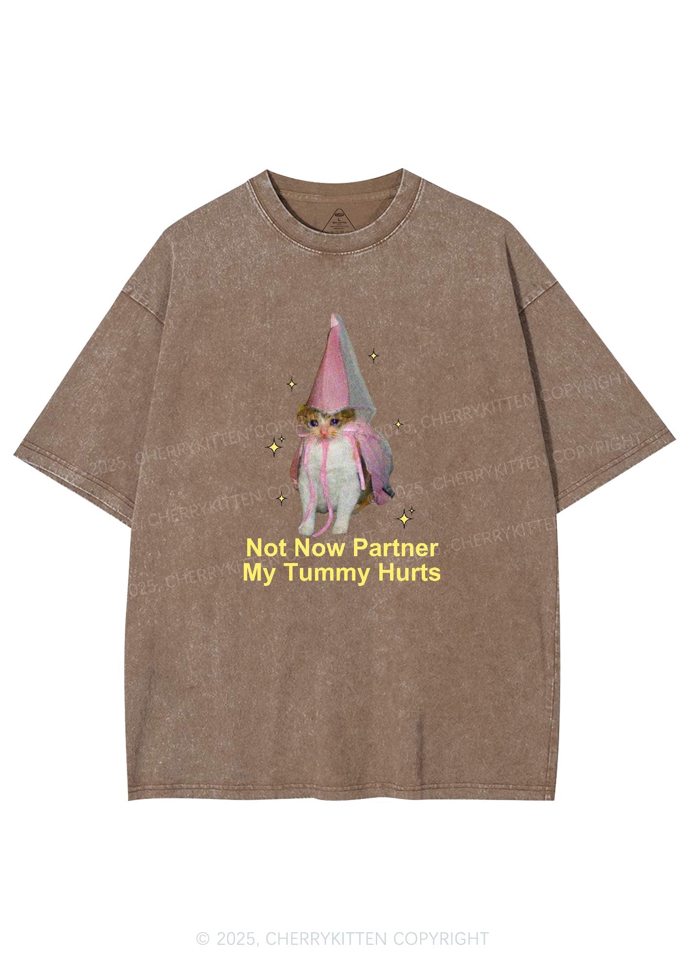 Tummy Hurts Cat Y2K Washed Tee Cherrykitten