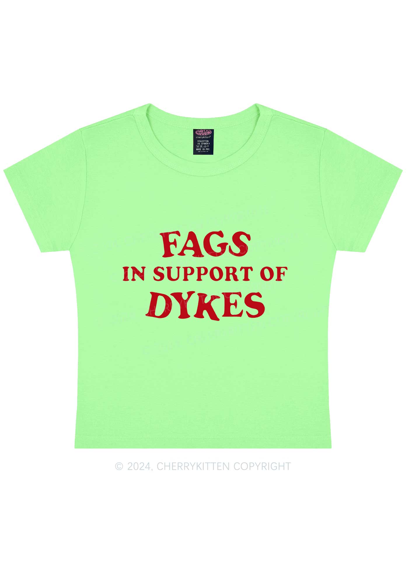 Fags Dykes Y2K Baby Tee Cherrykitten