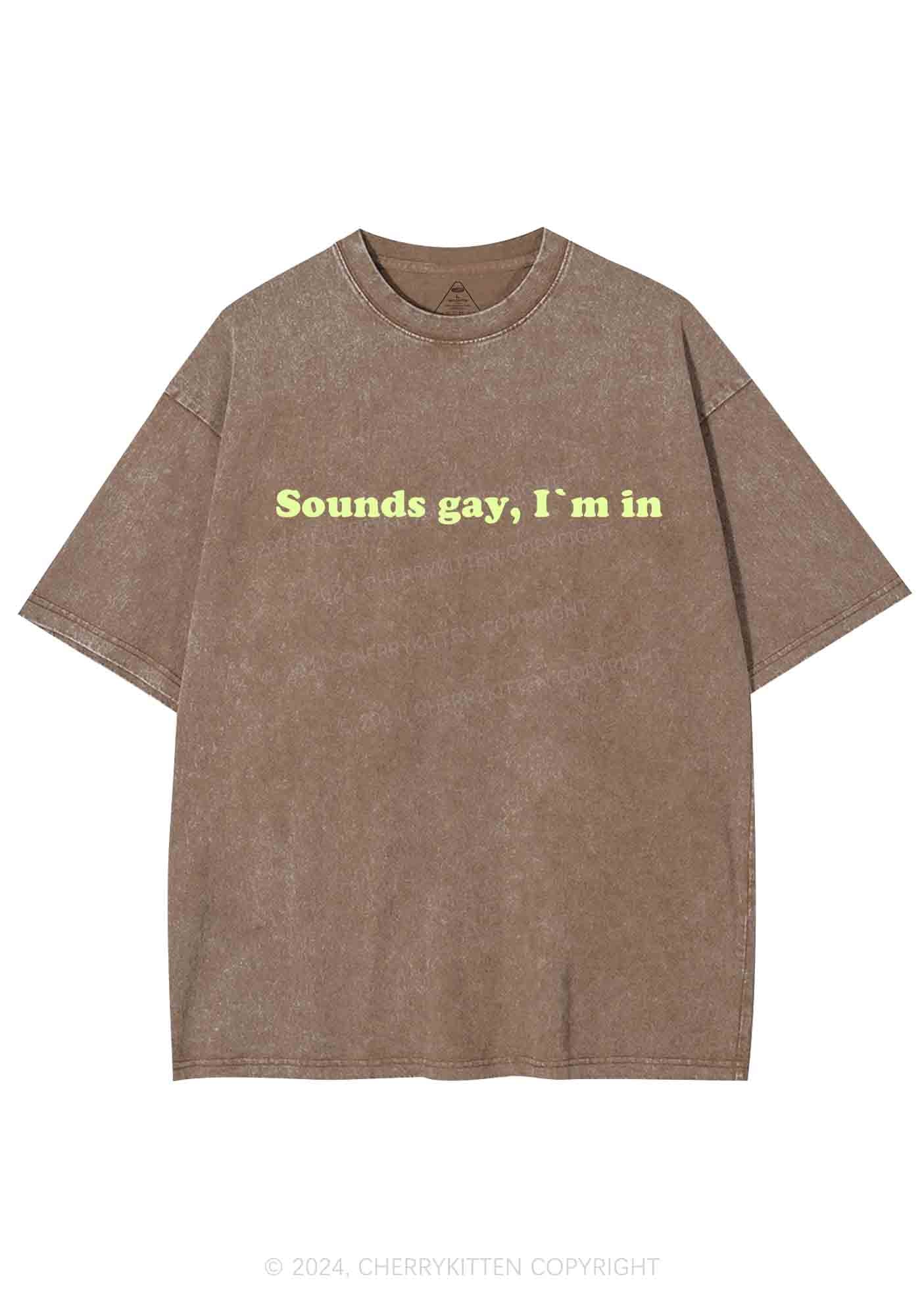 Sounds Gay Y2K Washed Tee Cherrykitten