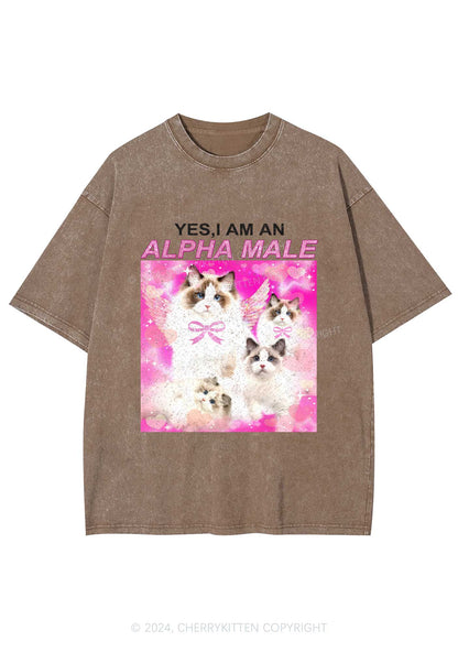 Alpha Male Y2K Washed Tee Cherrykitten