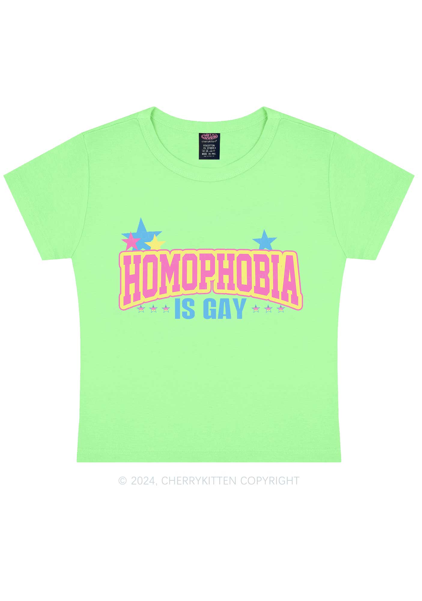 Homophobia Is Gay Y2K Baby Tee Cherrykitten