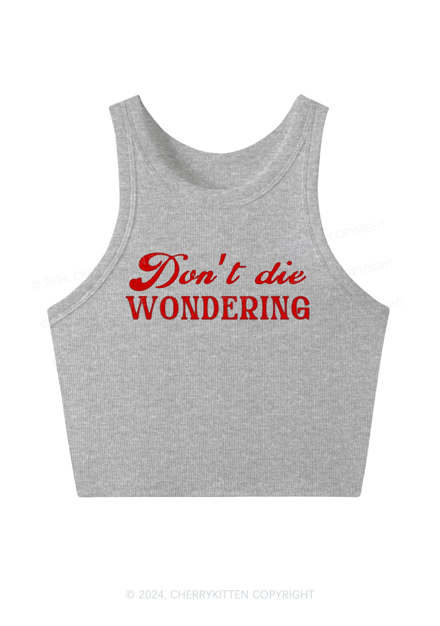 Don't Die Wondering Y2K Crop Tank Top Cherrykitten