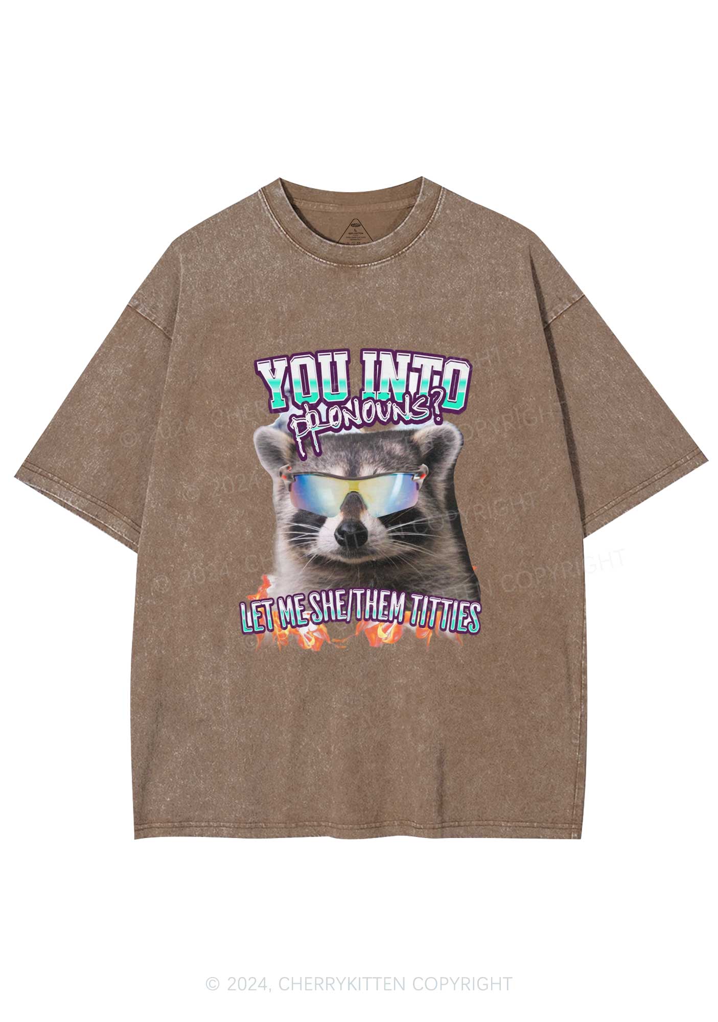 You Into Pronouns Y2K Washed Tee Cherrykitten