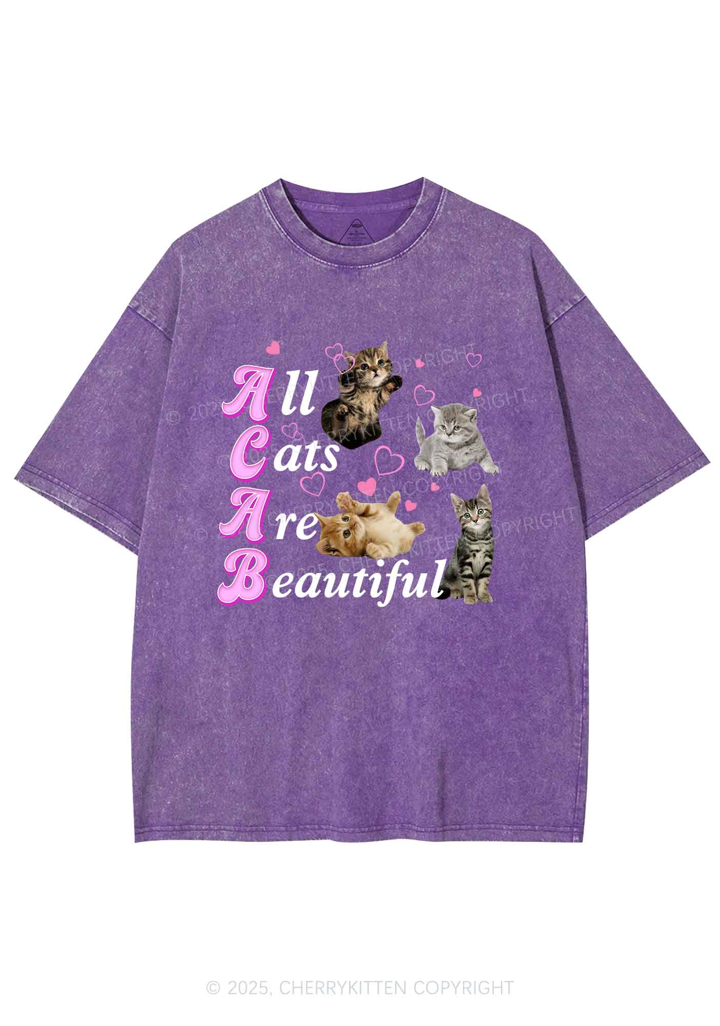 All Cats Are Beautiful Y2K Washed Tee Cherrykitten