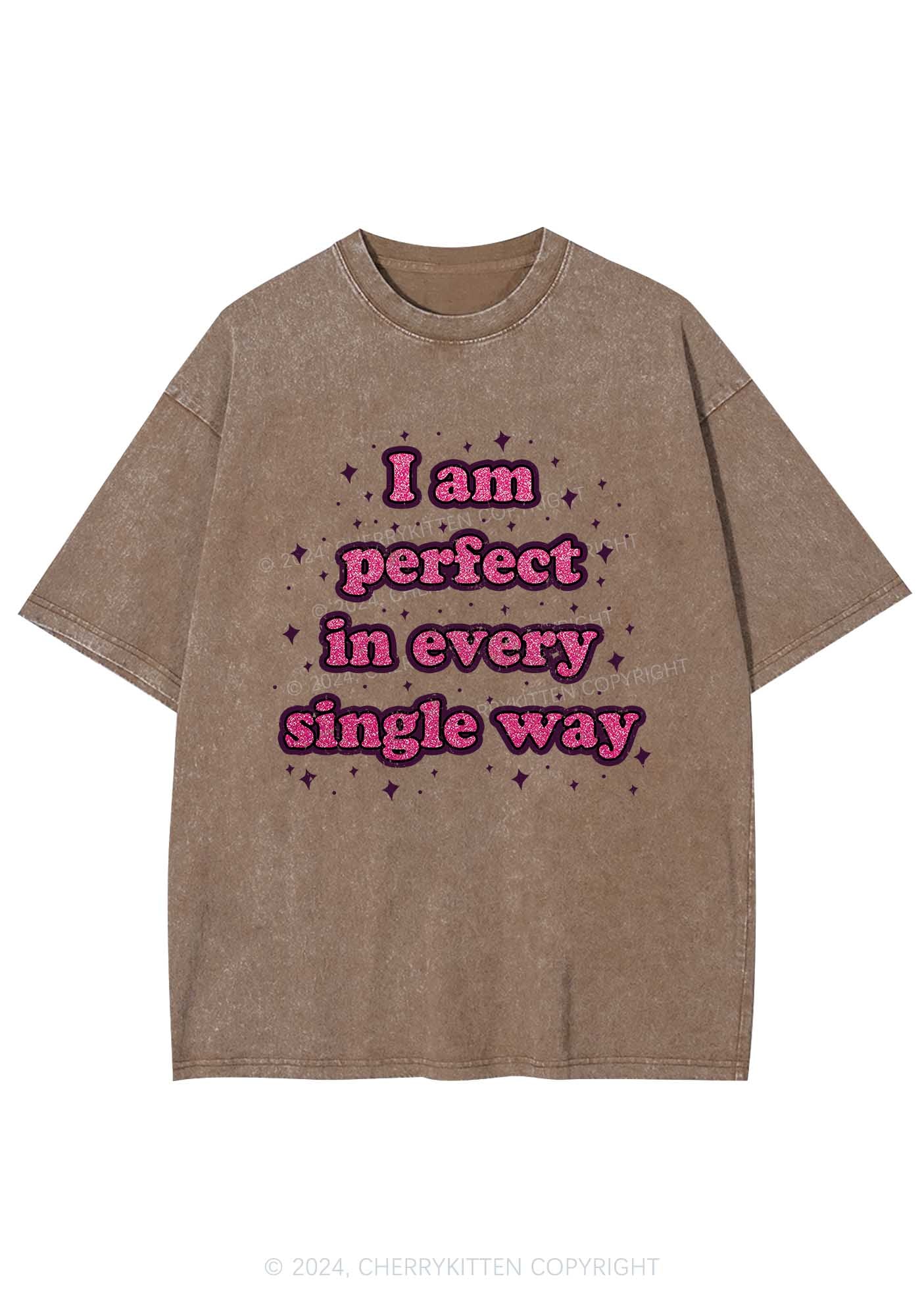 I'm Perfect In Every Single Way Y2K Washed Tee Cherrykitten