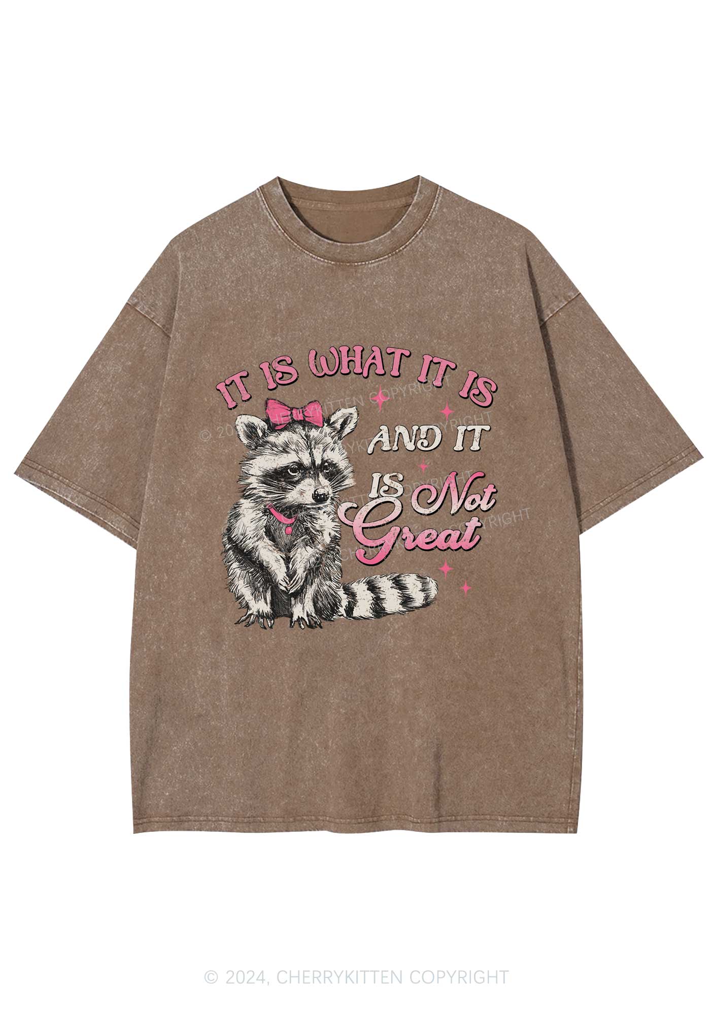 Not Great Raccoon Y2K Washed Tee Cherrykitten