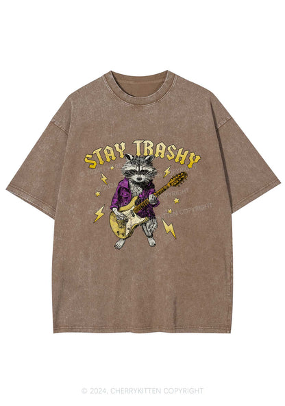 Stay Trashy Guitar Raccoon Y2K Washed Tee Cherrykitten