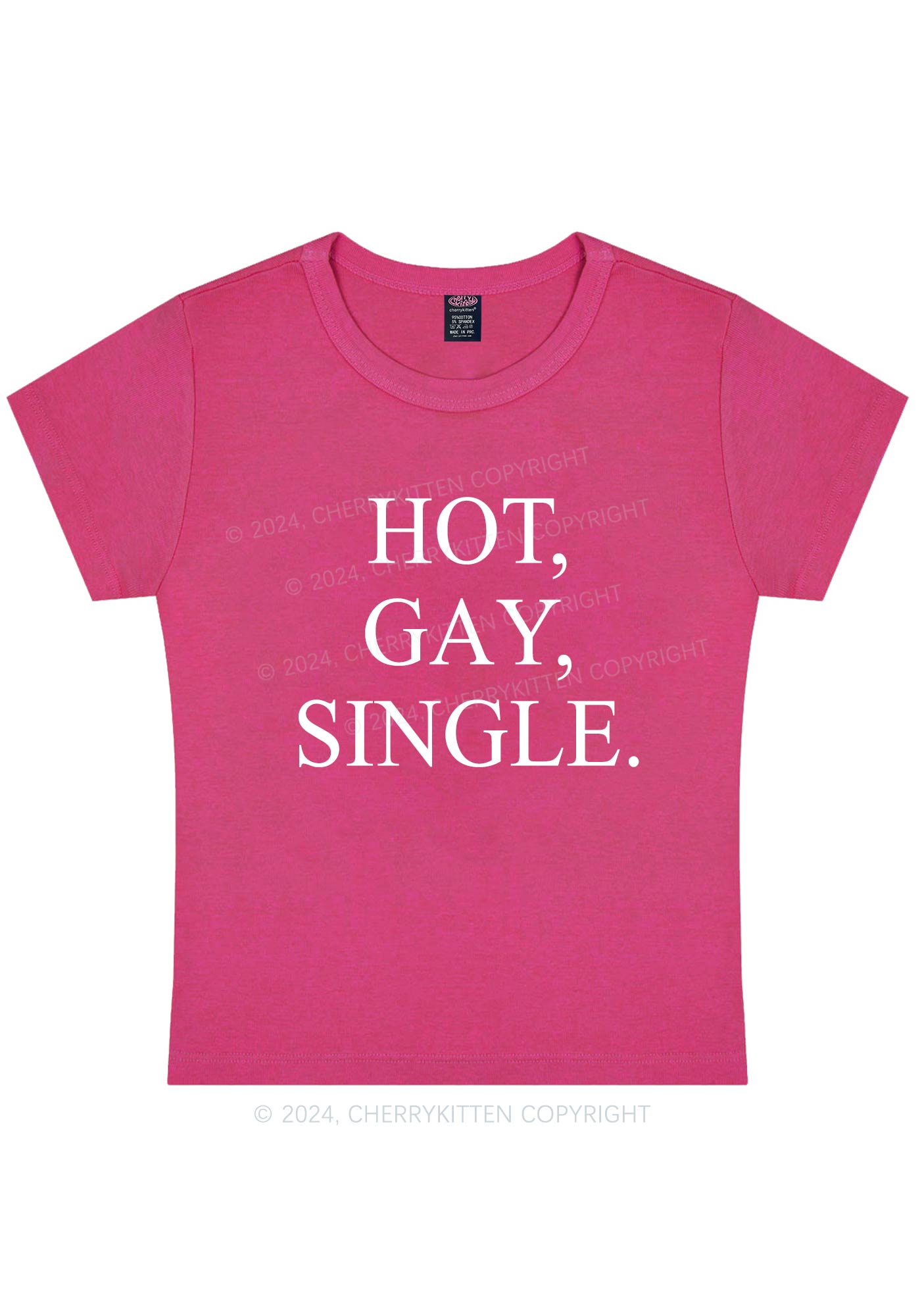 Hot Gay Single Y2K Baby Tee Cherrykitten