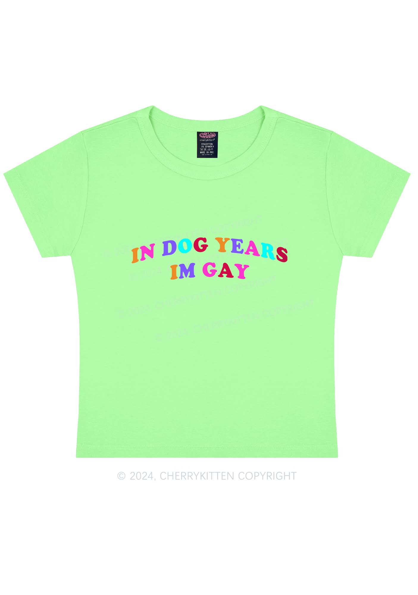 Dog Years Gay Y2K Baby Tee Cherrykitten