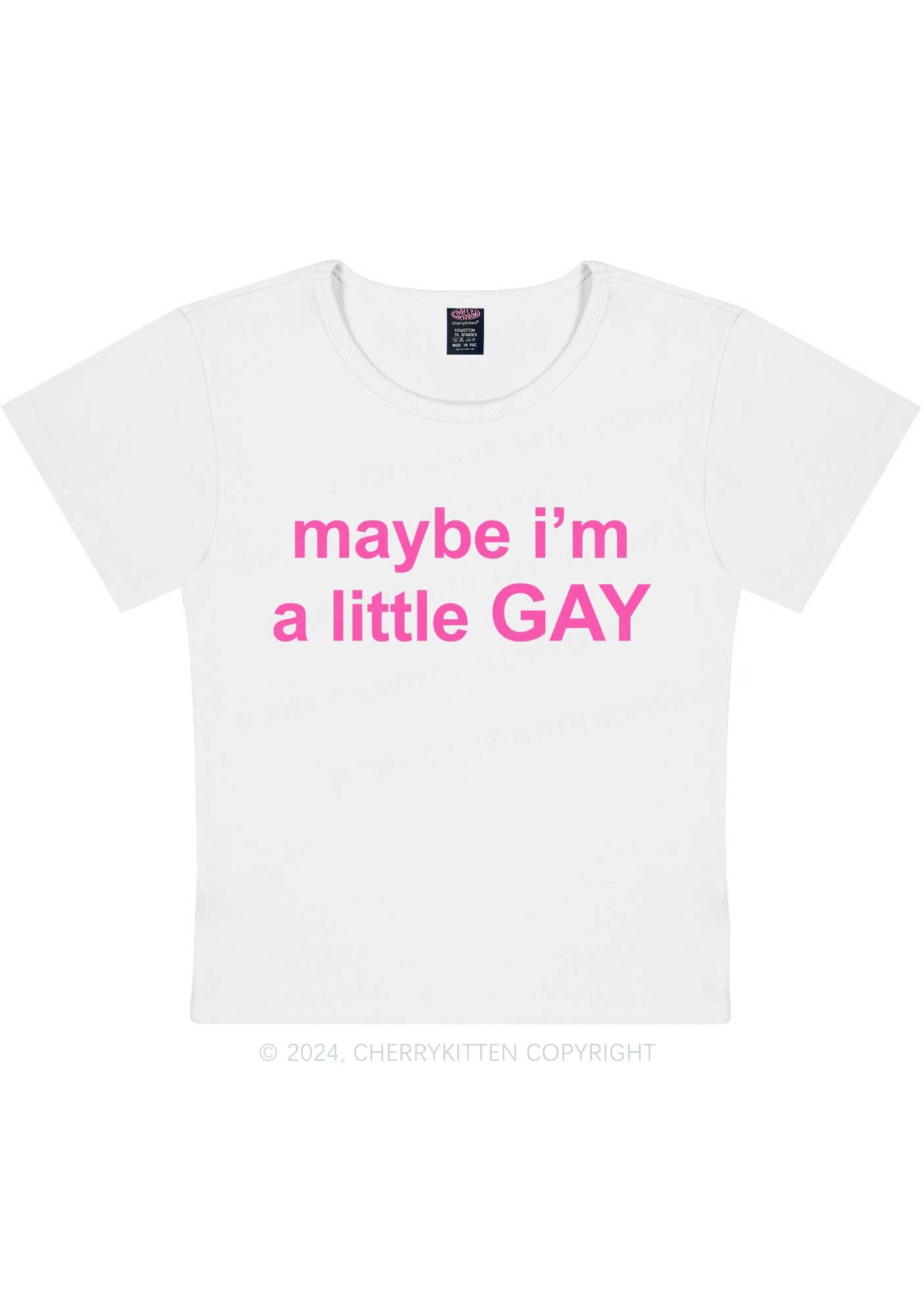 Maybe I'm A Gay Y2K Baby Tee Cherrykitten