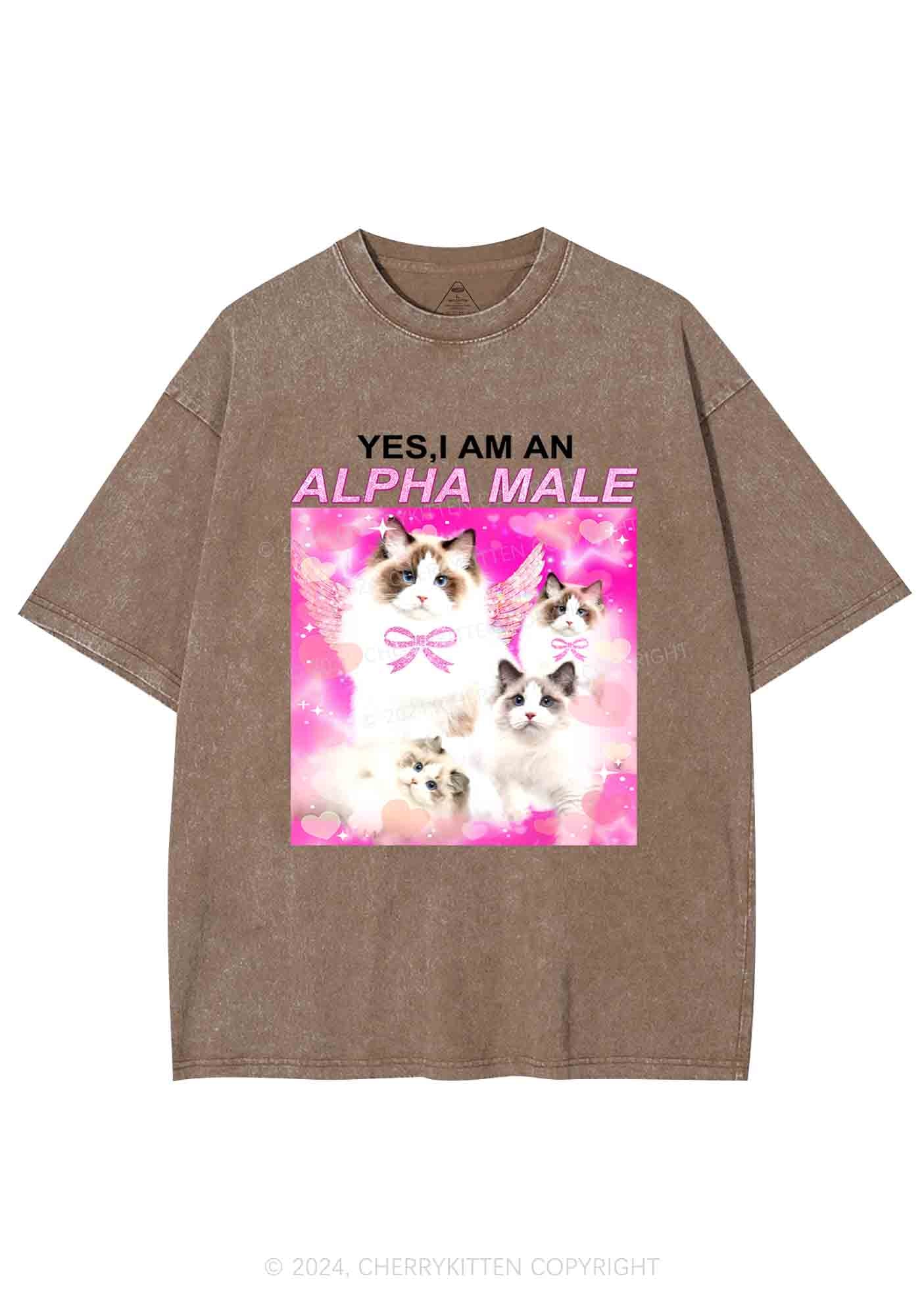 Alpha Male Y2K Washed Tee Cherrykitten