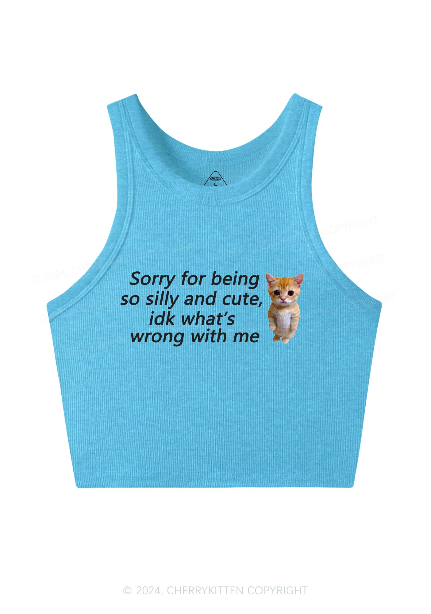 Sorry For Being Silly Y2K Crop Tank Top Cherrykitten