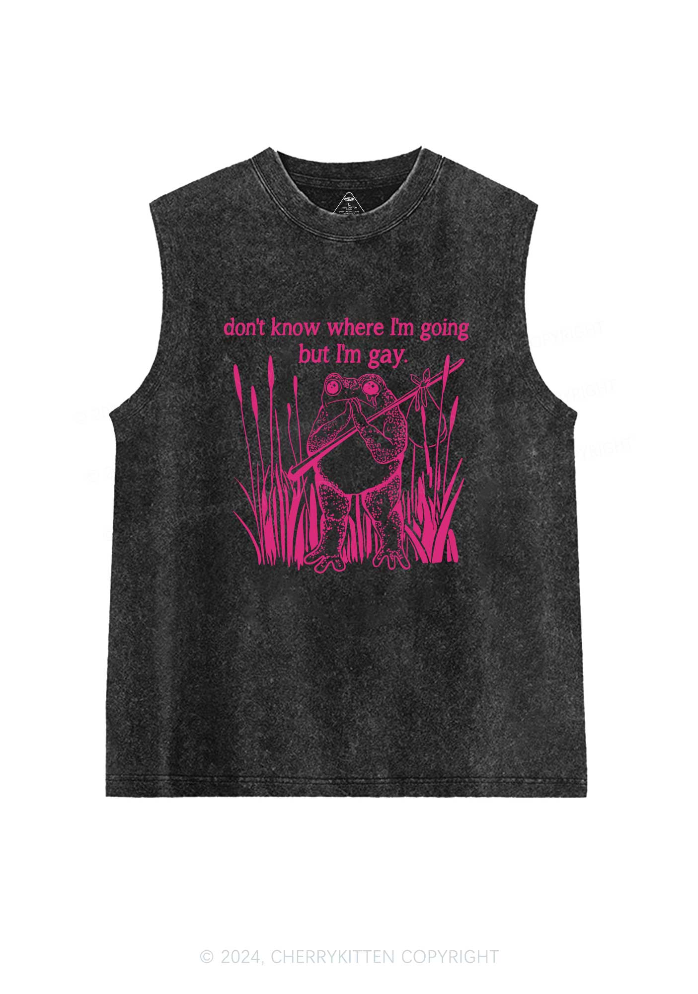 But I Am Gay Y2K Washed Tank Cherrykitten