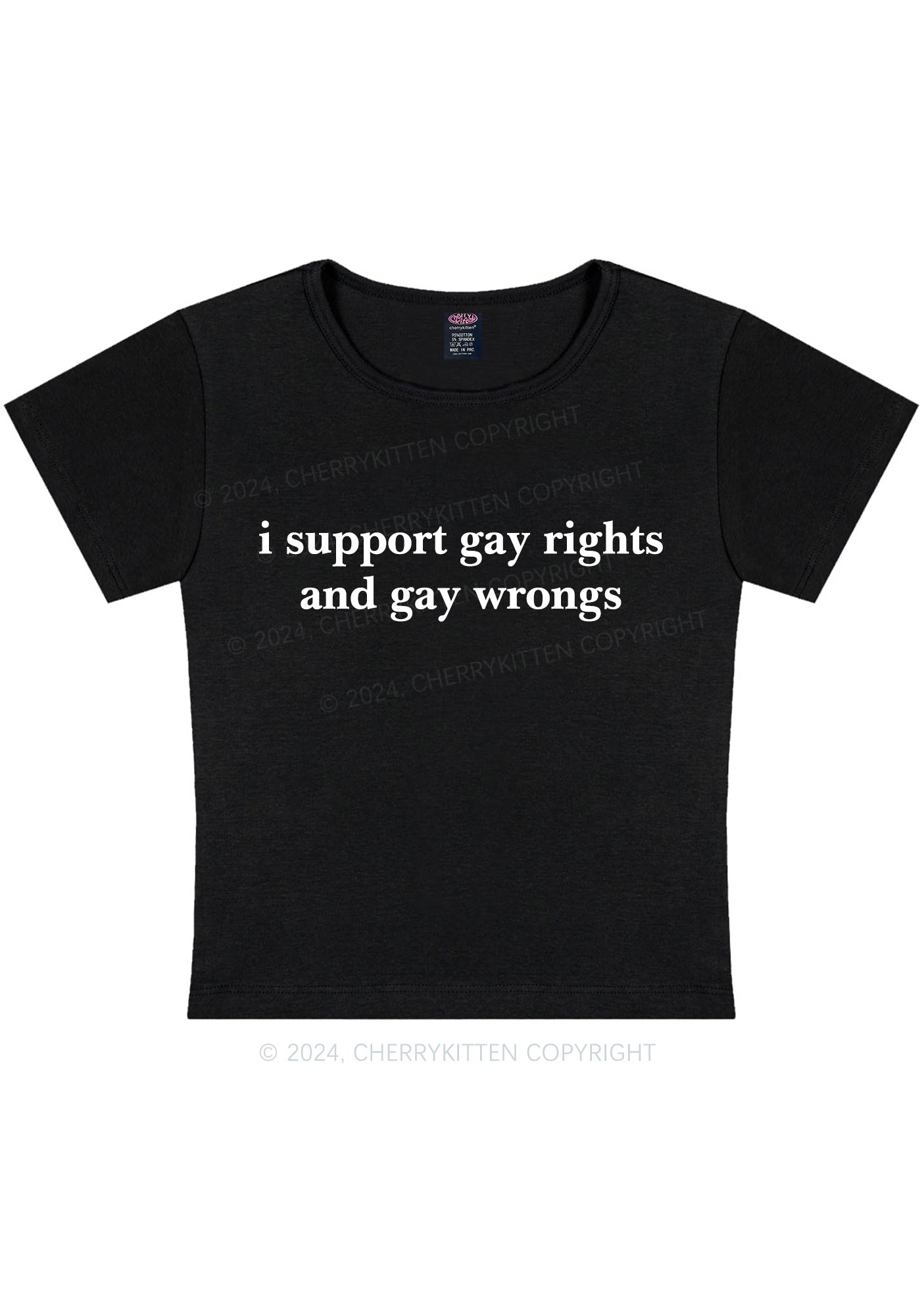 Support Gay Rights Y2K Baby Tee Cherrykitten