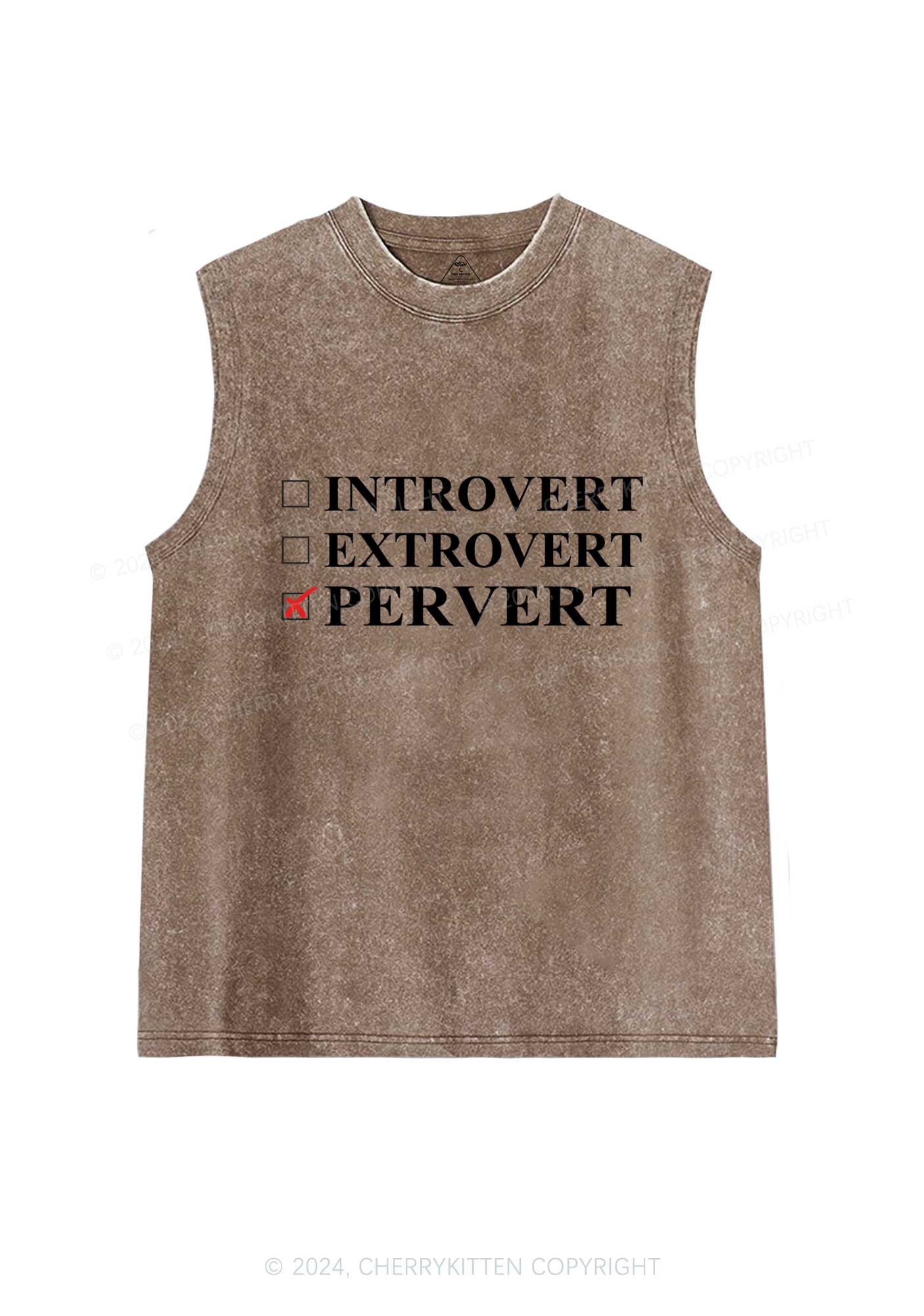 Be Pervert Y2K Washed Tank Cherrykitten