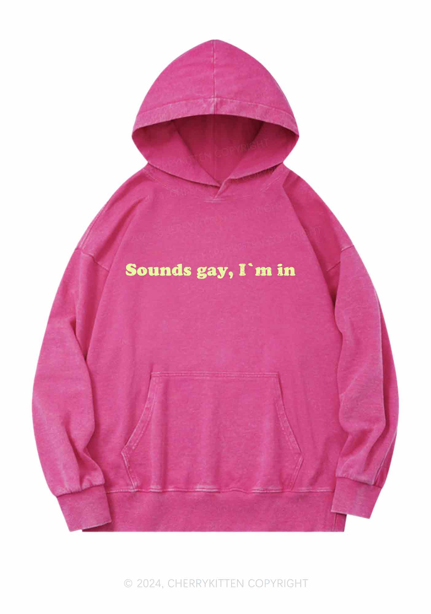 Sounds Gay Y2K Washed Hoodie Cherrykitten