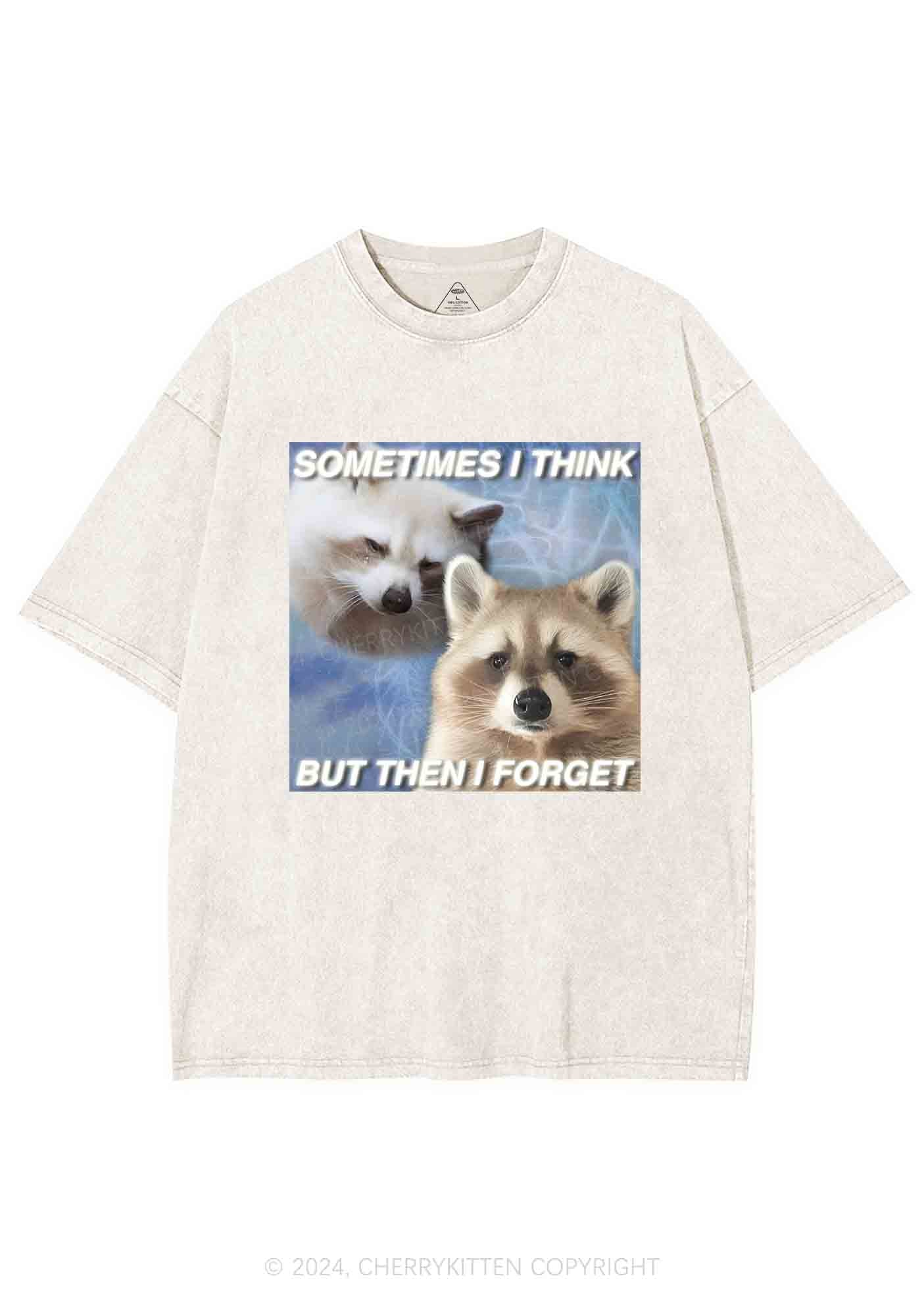 Raccoon Sometimes Think Y2K Washed Tee Cherrykitten