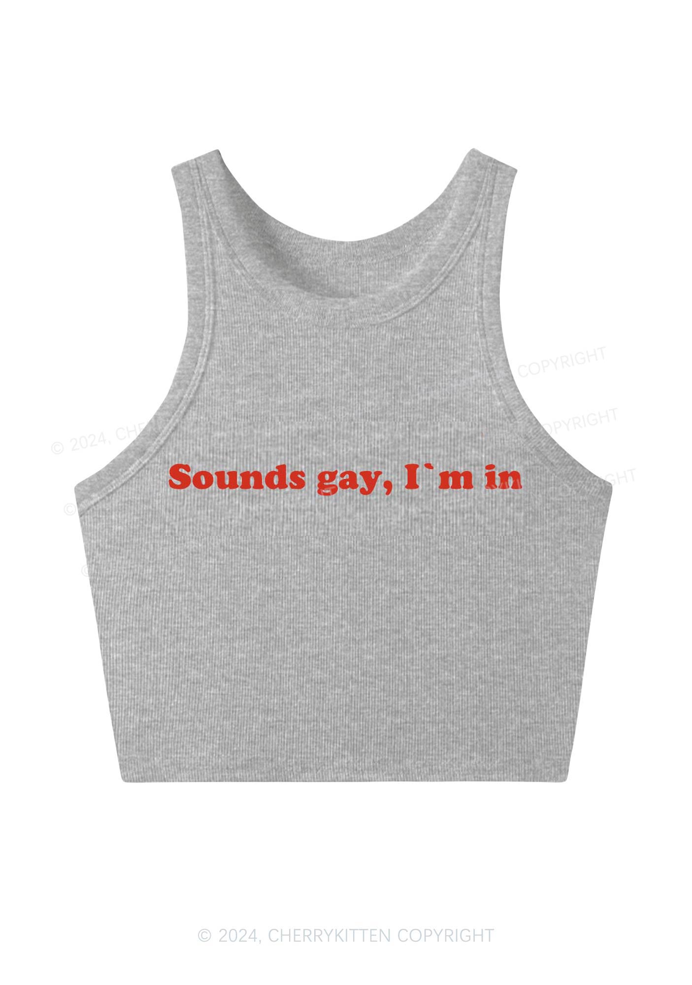 Sounds Gay Y2K Crop Tank Top Cherrykitten