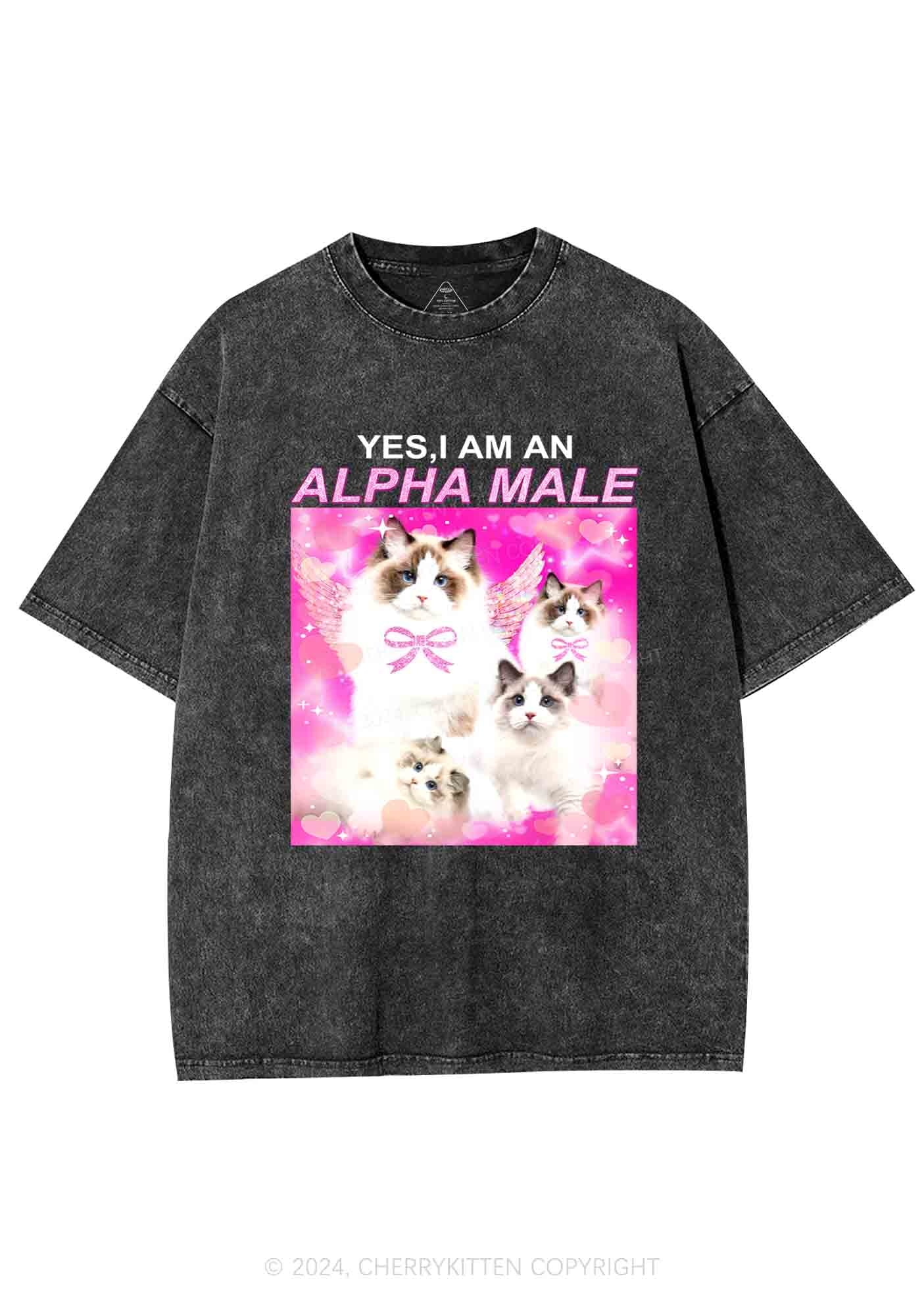 Alpha Male Y2K Washed Tee Cherrykitten