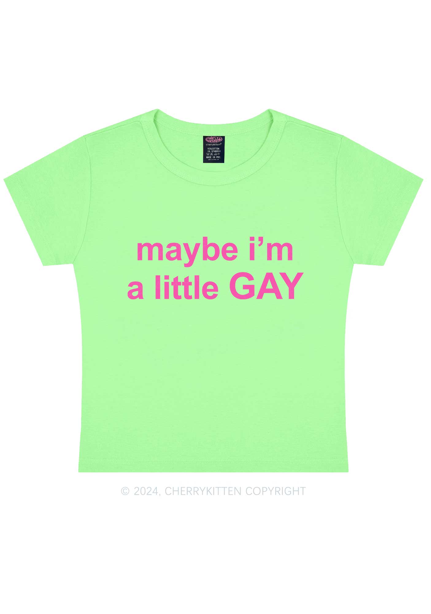 Maybe I'm A Gay Y2K Baby Tee Cherrykitten