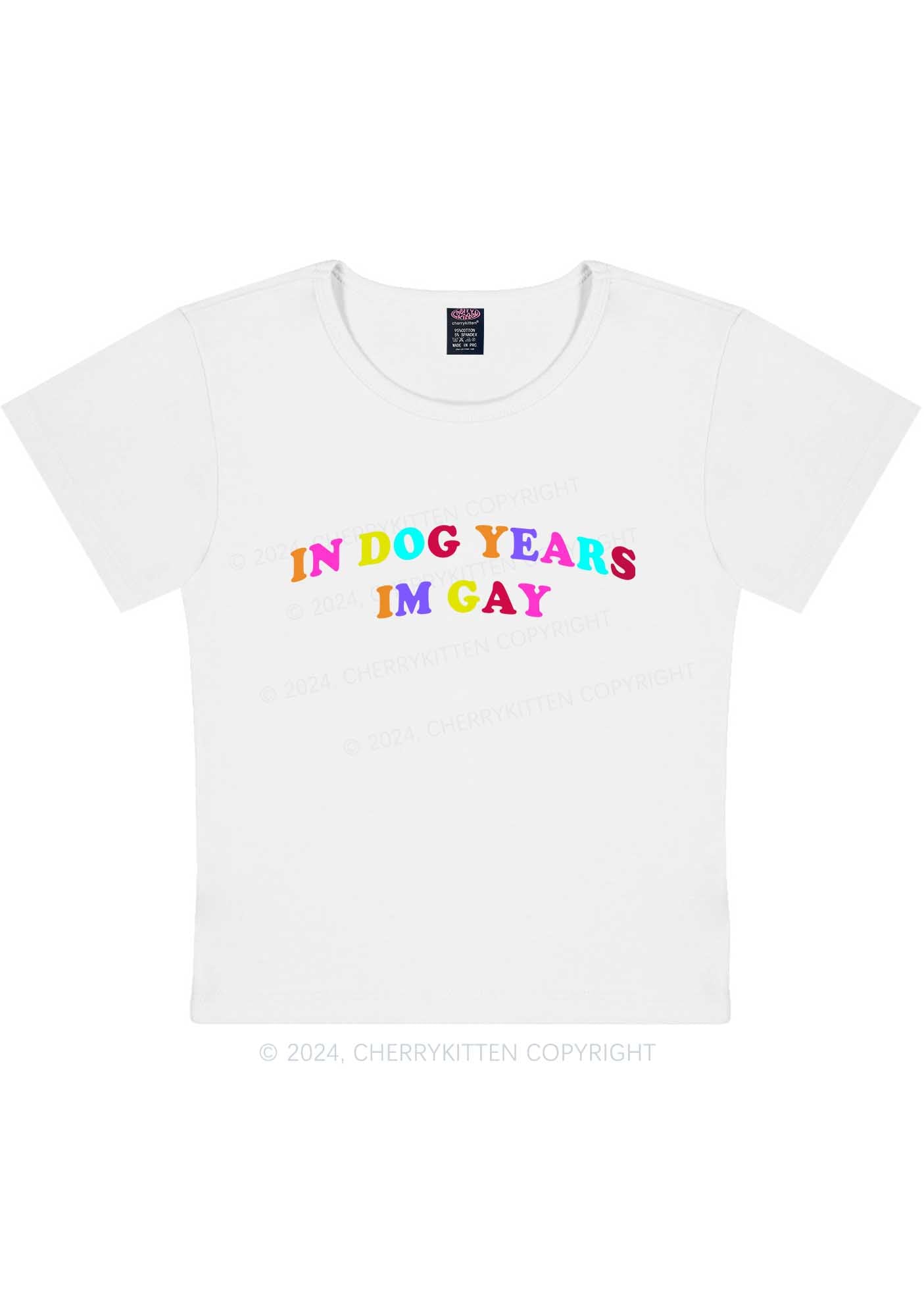 Dog Years Gay Y2K Baby Tee Cherrykitten