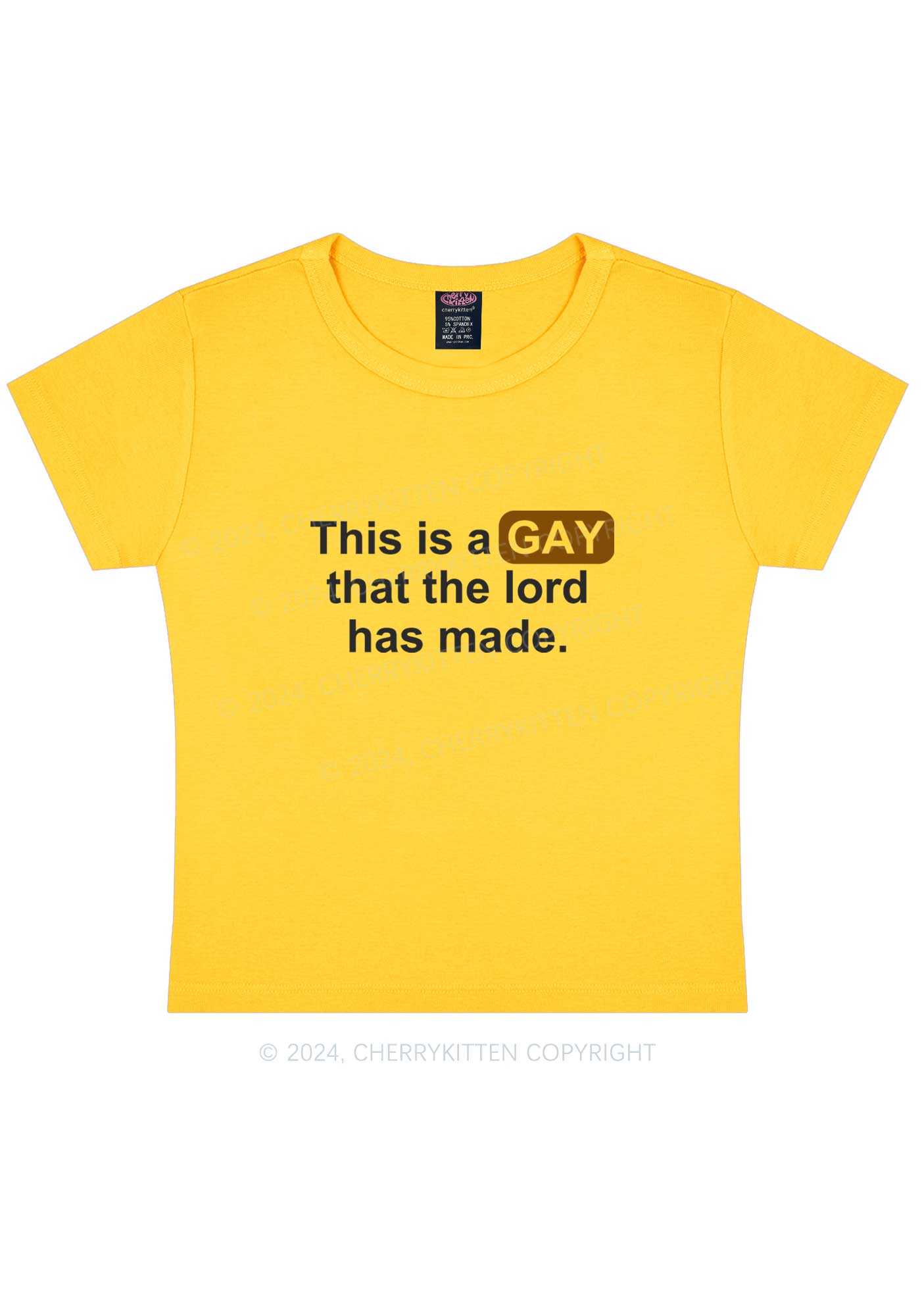 Lord Made Gay Y2K Baby Tee Cherrykitten