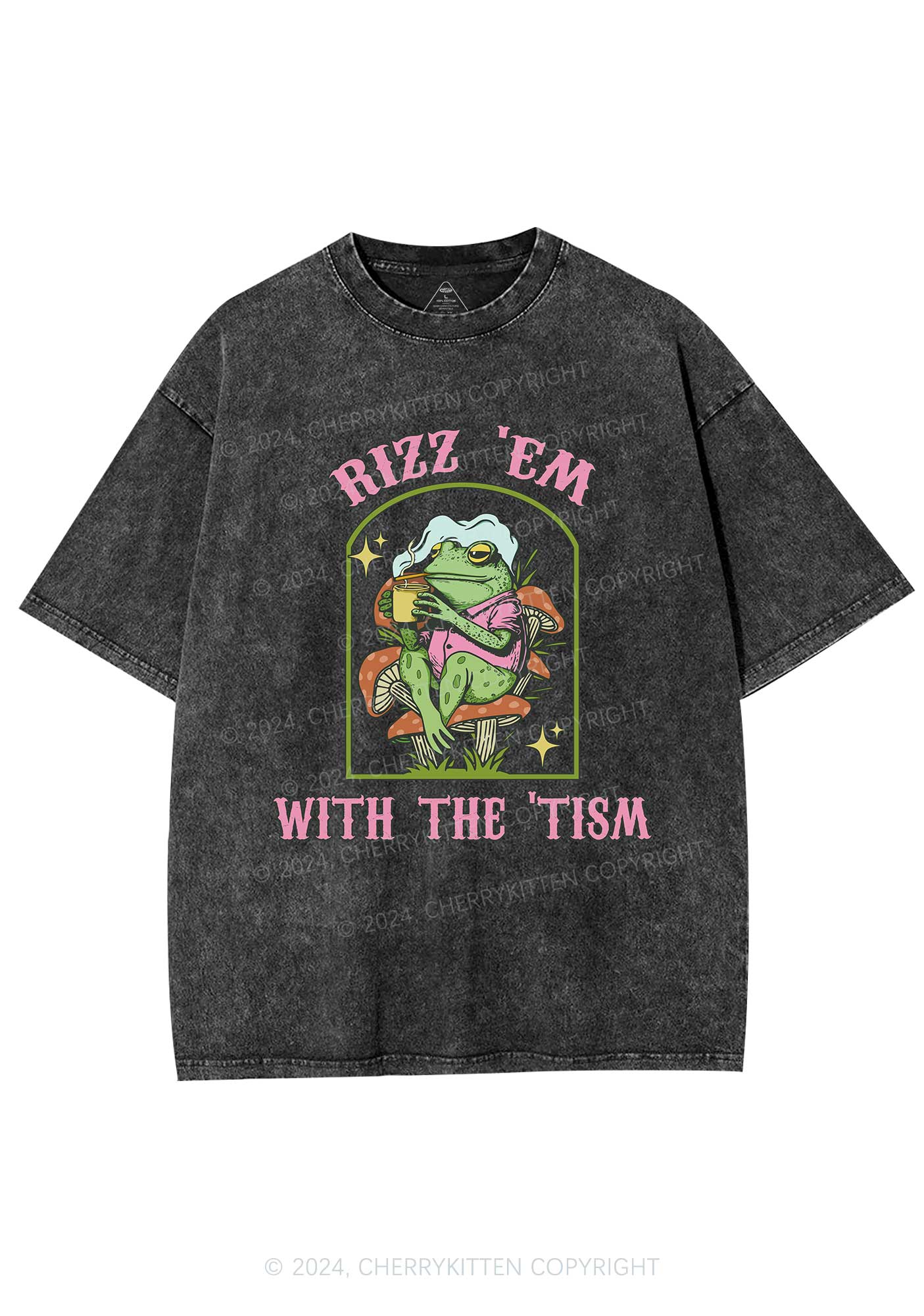 Tism Rizz Frog Y2K Washed Tee Cherrykitten