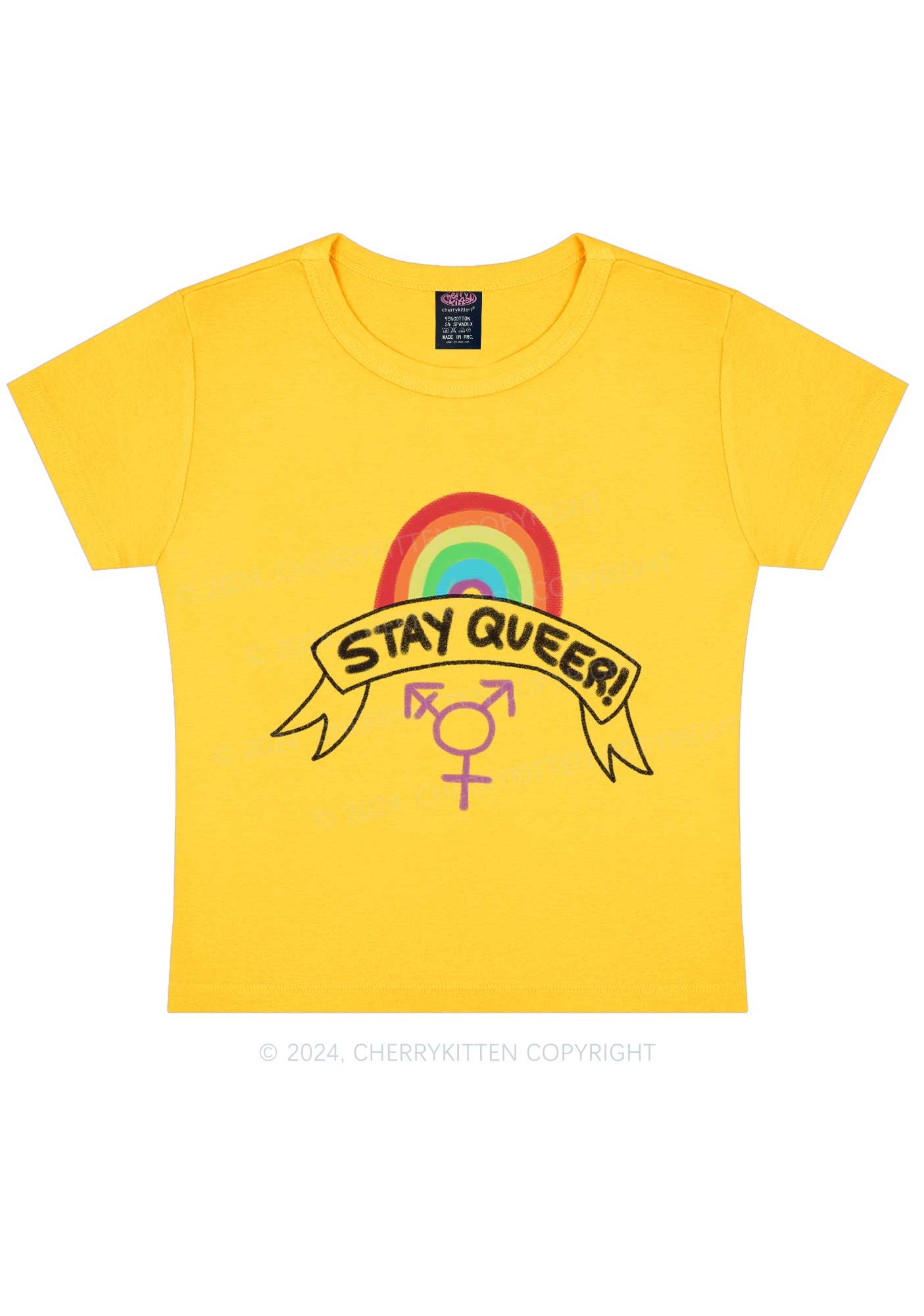 Stay Queer Y2K Baby Tee Cherrykitten