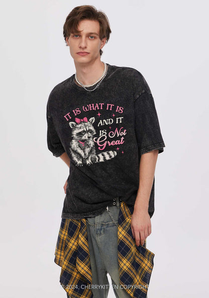 Not Great Raccoon Y2K Washed Tee Cherrykitten