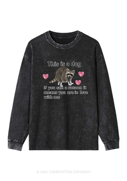 You Are In Love With Me Y2K Washed Long Sleeves Cherrykitten