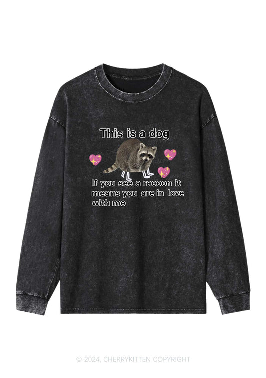 You Are In Love With Me Y2K Washed Long Sleeves Cherrykitten