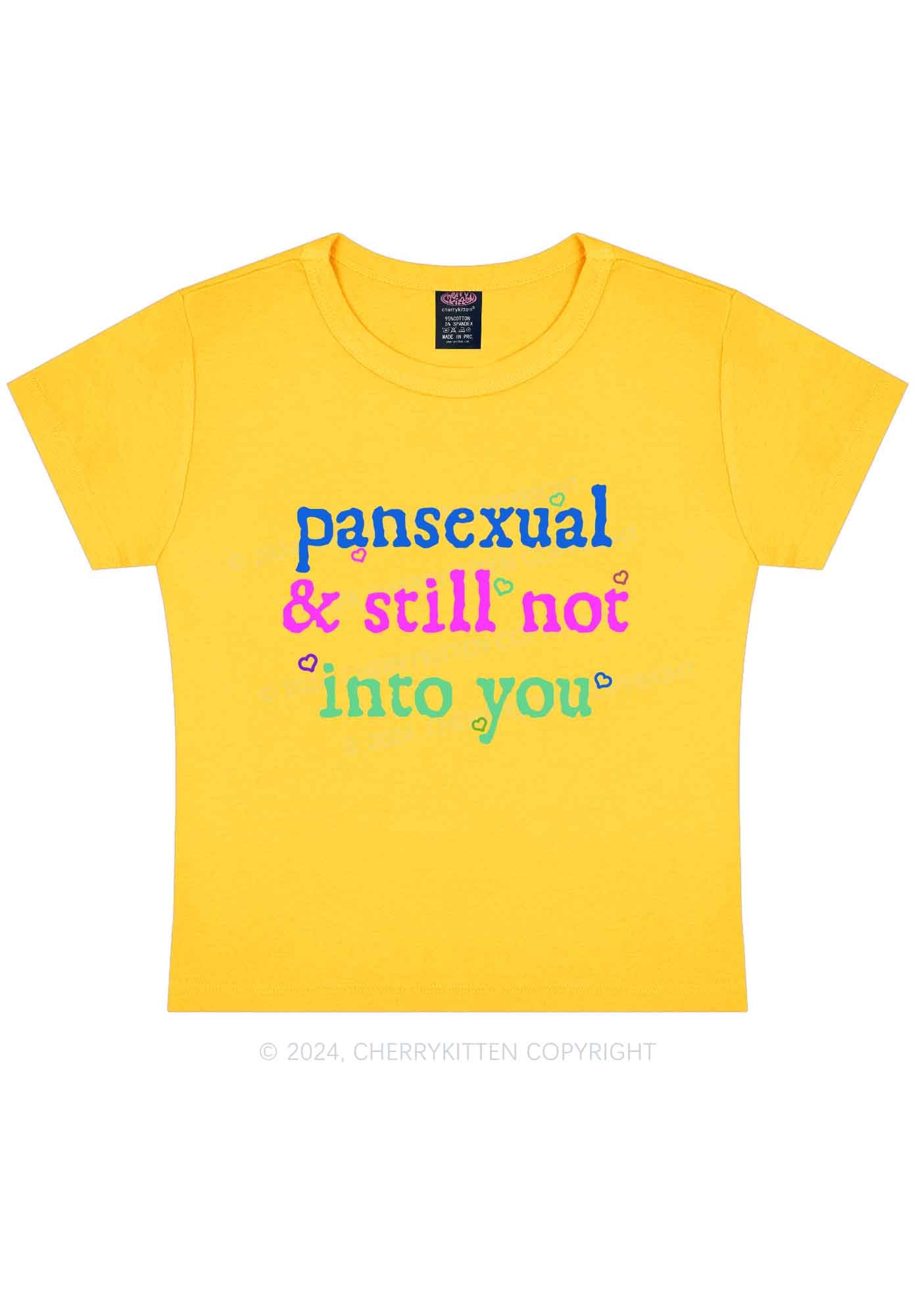 Pansexual Not Into You Y2K Baby Tee Cherrykitten