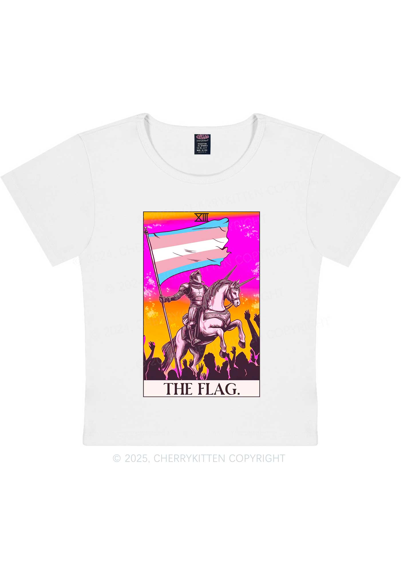 Custom Pride Flag Y2K Baby Tee Cherrykitten